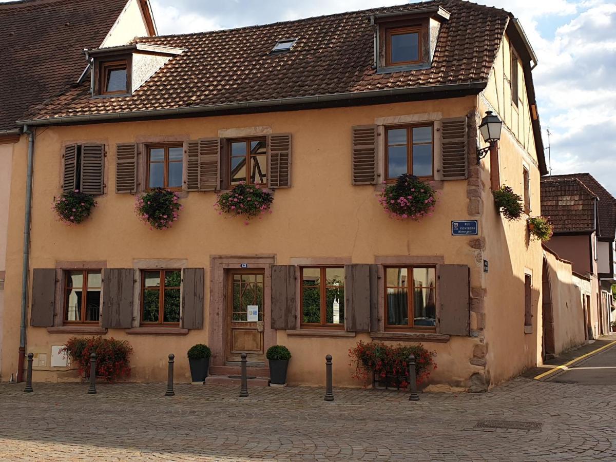 Chez Laurette A Bergheim公寓 外观 照片