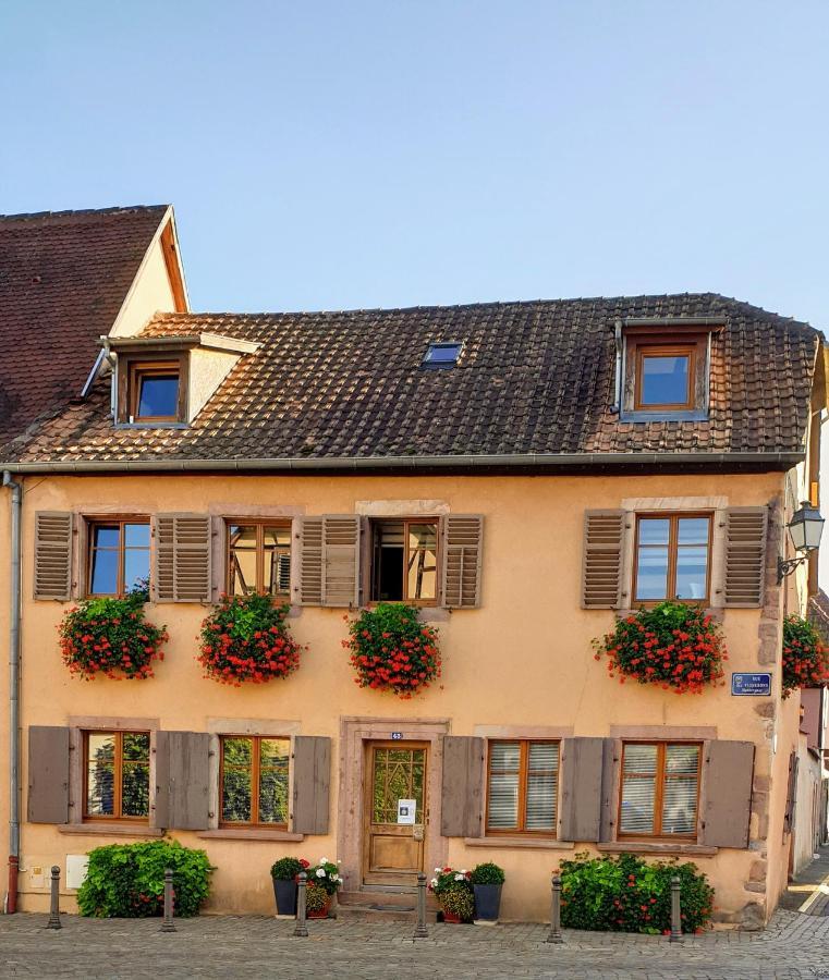 Chez Laurette A Bergheim公寓 外观 照片